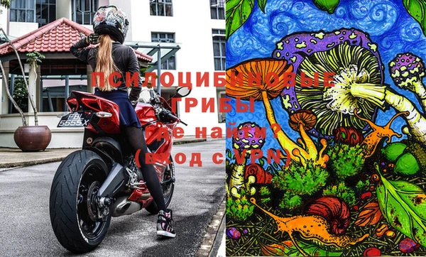 2c-b Кукмор