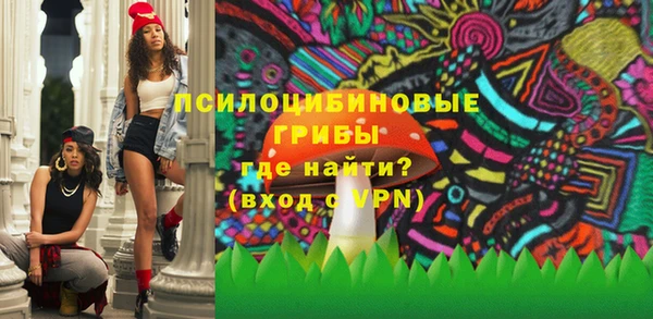 МДПВ Анива