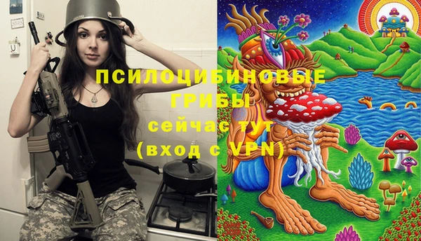 2c-b Кукмор