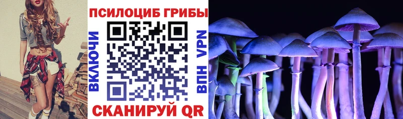 Псилоцибиновые грибы мицелий  ссылка на мегу   Олёкминск 